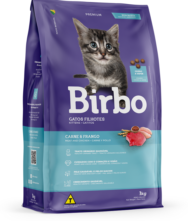 BIRBO GATOS FILHOTES